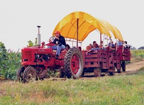 Raasch Farms in Liberty