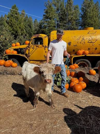 PaPa Charlie's Pumpkin Patch in Chillicothe